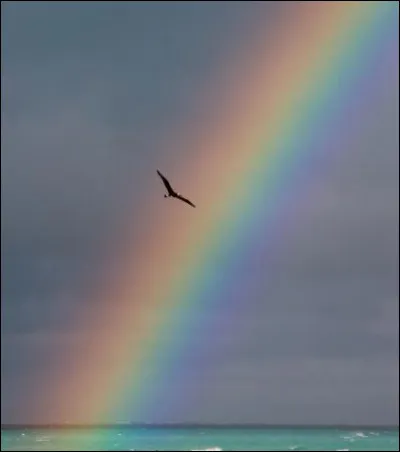 Isaac Newton avait observé six couleurs pour un arc-en-ciel, à travers un prisme. Il ajouta une septième couleur. Laquelle ?