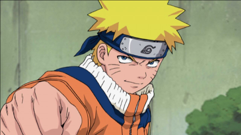 Quel est le nom de famille de Naruto ?