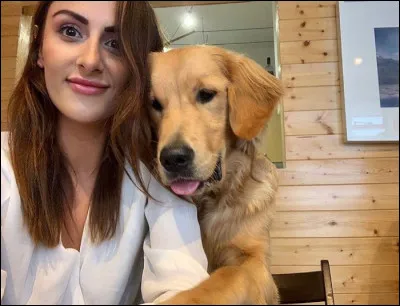 Le chien mange-t-il des légumes et des fruits ?