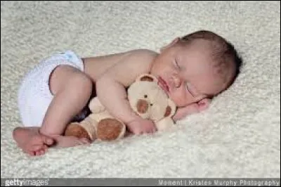 En 1961 est né un petit animal qui accompagne encore aujourd'hui tous les bébés. Qui est-il ?