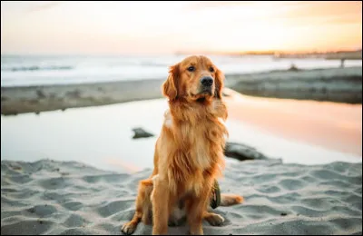 Que tu préfères-tu faire ?