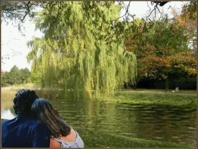 Il y a longtemps que je t'aime, jamais je ne t'oublierai. Sous les feuilles... .