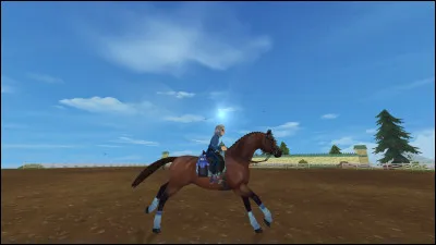 Tu peux jouer gratuitement à Star Stable jusqu'au niveau :
