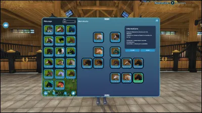 Combien de chevaux peux-tu avoir dans Star Stable ?