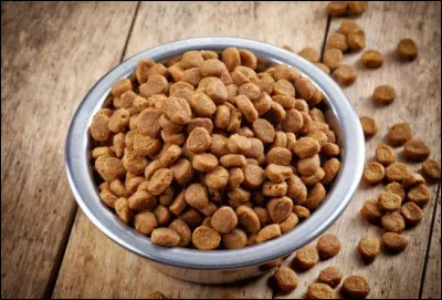 Que mangent les chiens ?