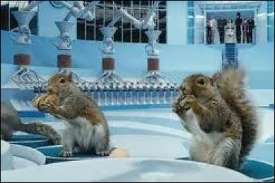 Qui est jugé pourri par les écureuils, et jeté avec les noix pourries ?