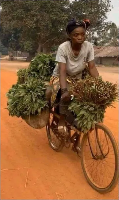 Regardez bien l'image et cochez ce qui ne s'y trouve pas.