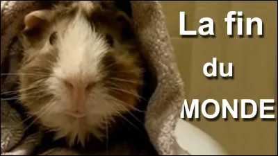 La fin du monde : 
"La fin du monde, vous y croyez ?
C'est quoi cette question débile ?
Coupez. Coupez on va la refaire.
Nan mais c'est vrai elle est débile sa question.
La fin du monde, vous y croyez ?
Ben évidemment que j'y crois. T'es pas au courant d'la prophétie des Mayas ? C'est la fin de leur calendrier... Et on fera moins le malin quand il n'y aura plus de Maya l'Abeille.

Complétez :