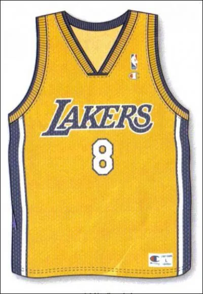 A quelles equipe appartien ce mallot ?