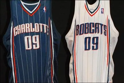 A quelles equipe appartien ce mallot ?