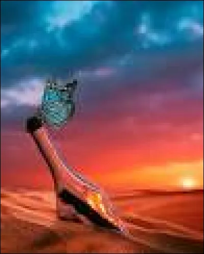 Quel animal pr&eacute;f&egrave;res-tu ?