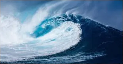 Le Japon subit des milliers de séismes par an, dont certains, en mer, entraînent des tsunamis. Quel est sa traduction en français ?