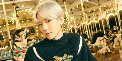 Cette idole fait-elle partie de Stray Kids ?