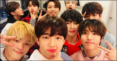 Qui est le membre qui a quitté Stray Kids ?