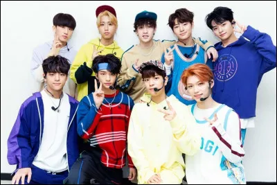 Qui est le premier membre à avoir rejoint Stray Kids ?