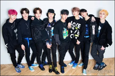 Quels sont les membres de Stray Kids ?
