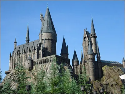 Quel est le pouvoir qui ne peut être exécuté à Poudlard ?