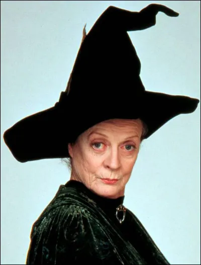 Quel poste occupait Minerva McGonagall quand elle était dans l'équipe de Quidditch de Gryffondor à Poudlard ?