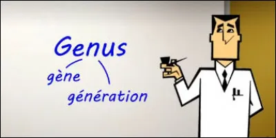 Et qui a donc engendré le verbe "générer", en français ?