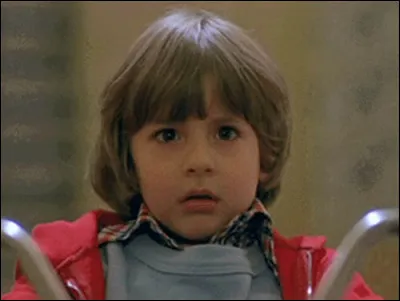 Dans "The Shining", quel est le prénom du fils de Jack et Wendy Torrance ?