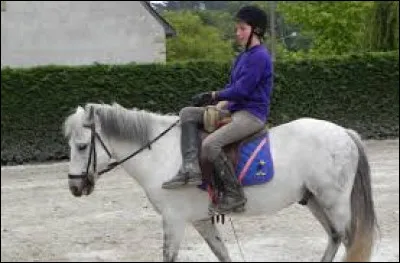 Cochez l'expression qui convient à l'image !