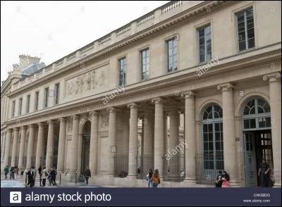 Où Dixie étudie-t-elle ?