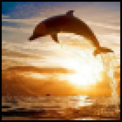 Ancien profil de Hermionegginnyw.Quels mots correspondent &agrave; une esp&egrave;ce de dauphin ?