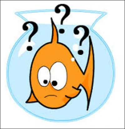 Nature : 
De ces trois poissons, lequel est un saint-Pierre ?