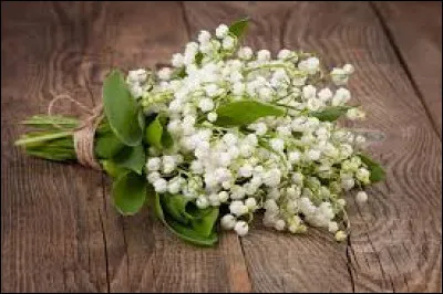 Quand le muguet fleurit-il ?