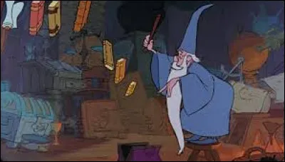 Qui est l'enchanteur d'après le titre d'un film d'animation Disney ?