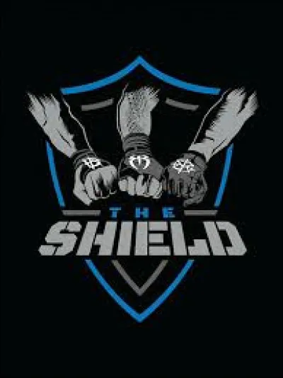 Qui sont les membres du Shield ?