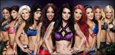 Quelle catcheuse a eu le règne le plus long d'un titre à la WWE Woman ?