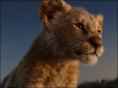 Quel est le nom de cet animal ?