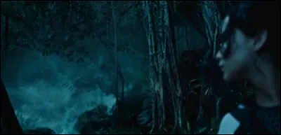 Dans le 2 qui meurt dans le brouillard ?