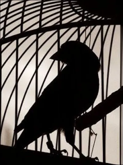 Et qu'est-ce que tu n'es pas ?