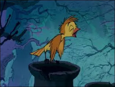 Jusqu'à atteindre quel état physique cours-tu ?