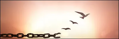 Que fait ton corps ?