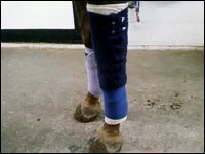 Quel est le nom de ce type de bandage ?