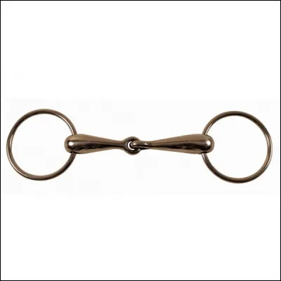 Quel est le nom de ce type de mors ?