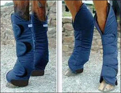 Quel est le nom de ce type de bandage ?