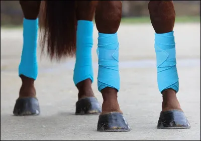 Quel est le nom de ce type de bandage ?