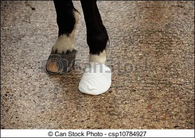 Quel est le nom de ce type de bandage ?