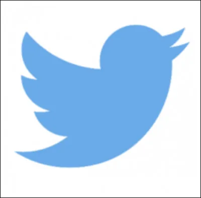 Quel est ce réseau social ?