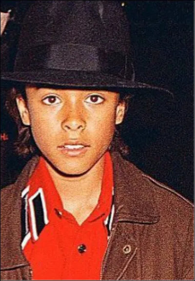 L'affaire Chandler a commencé le 17 août 1993 pour se finir le 22 septembre 1994. 
En 1993, Evan Chandler, le père de Jordan Chandler, porte plainte contre une célébrité après que son fils lui a dit avoir été violé par elle. 
Au final, l'accusé trouve un arrangement financier avec le plaignant et l'enquête prend fin. 
Qui est cette célébrité ?