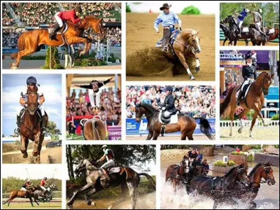 La discipline équestre que tu préfères est :