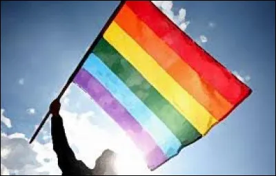 Qui a annoncé son homosexualité ?