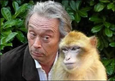 Lequel de ces quatre serpents vit en Amérique du Sud et Centrale ?