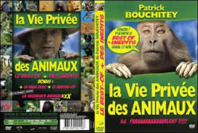 Lequel de ces quatre animaux pond des oeufs ?