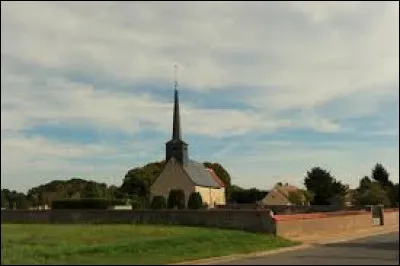 Petit tour dans le Centre-Val-de-Loire, à Ouzouer-des-Champs. Commune de la région naturelle du Gâtinais pauvre, elle se situe dans le département ...