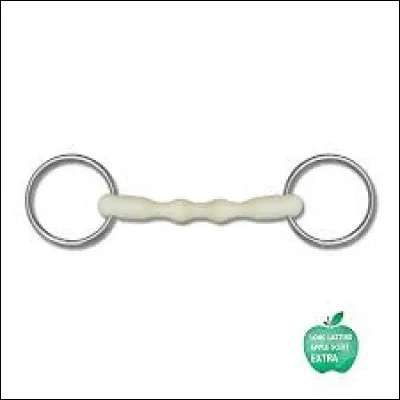 Quel est le nom de ce type de mors ?